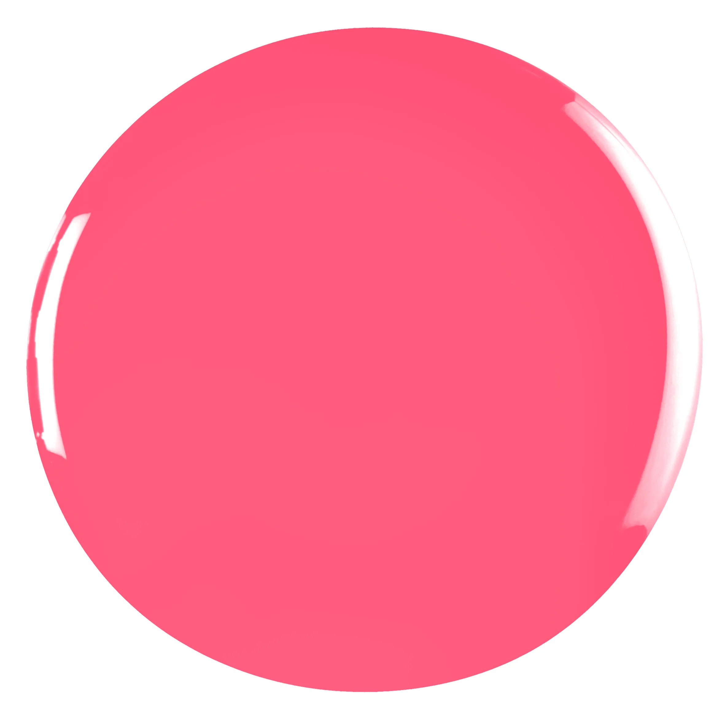 Coral Crush - 341 - Polish - Image 3