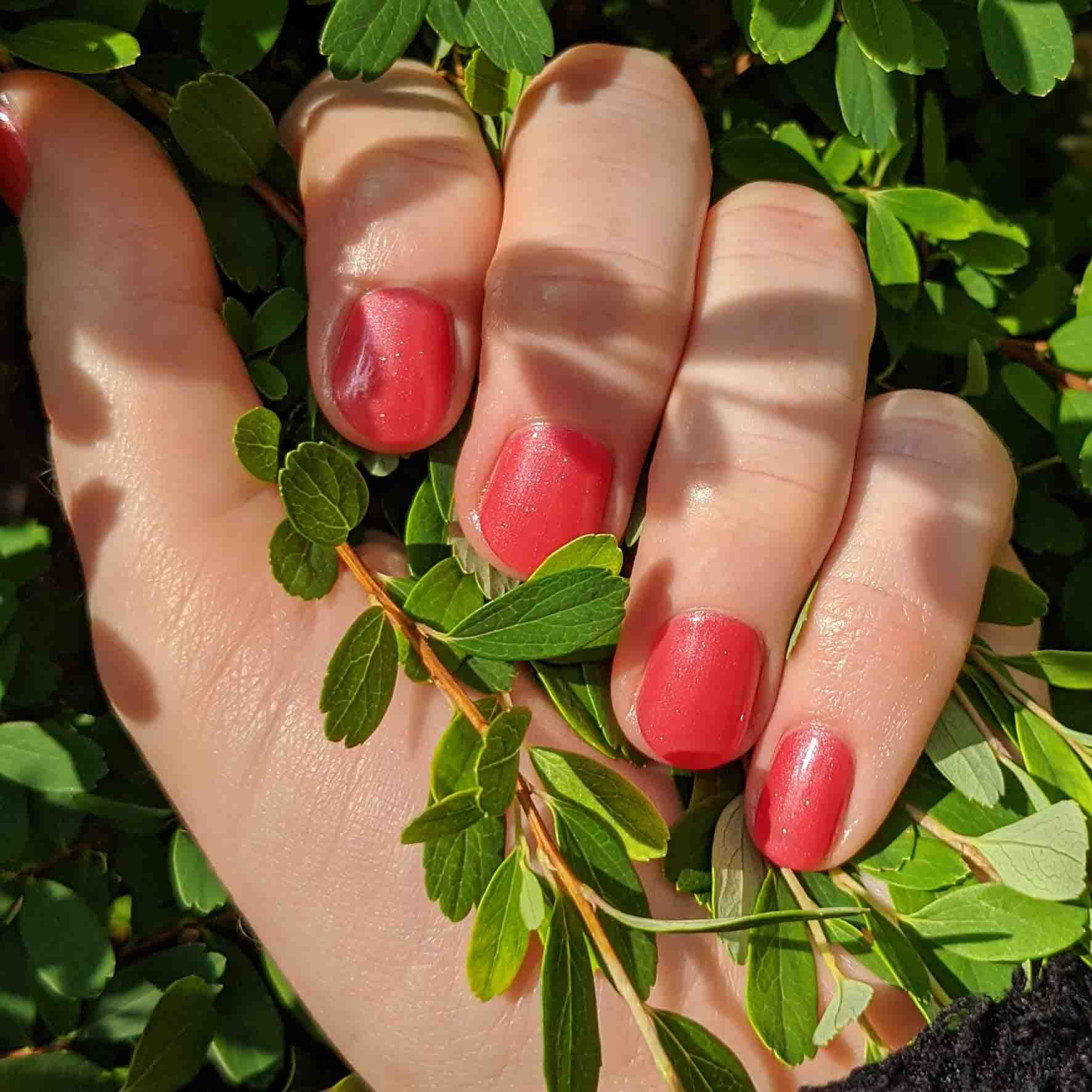 Watermelon Freeze - Polish - Image 2