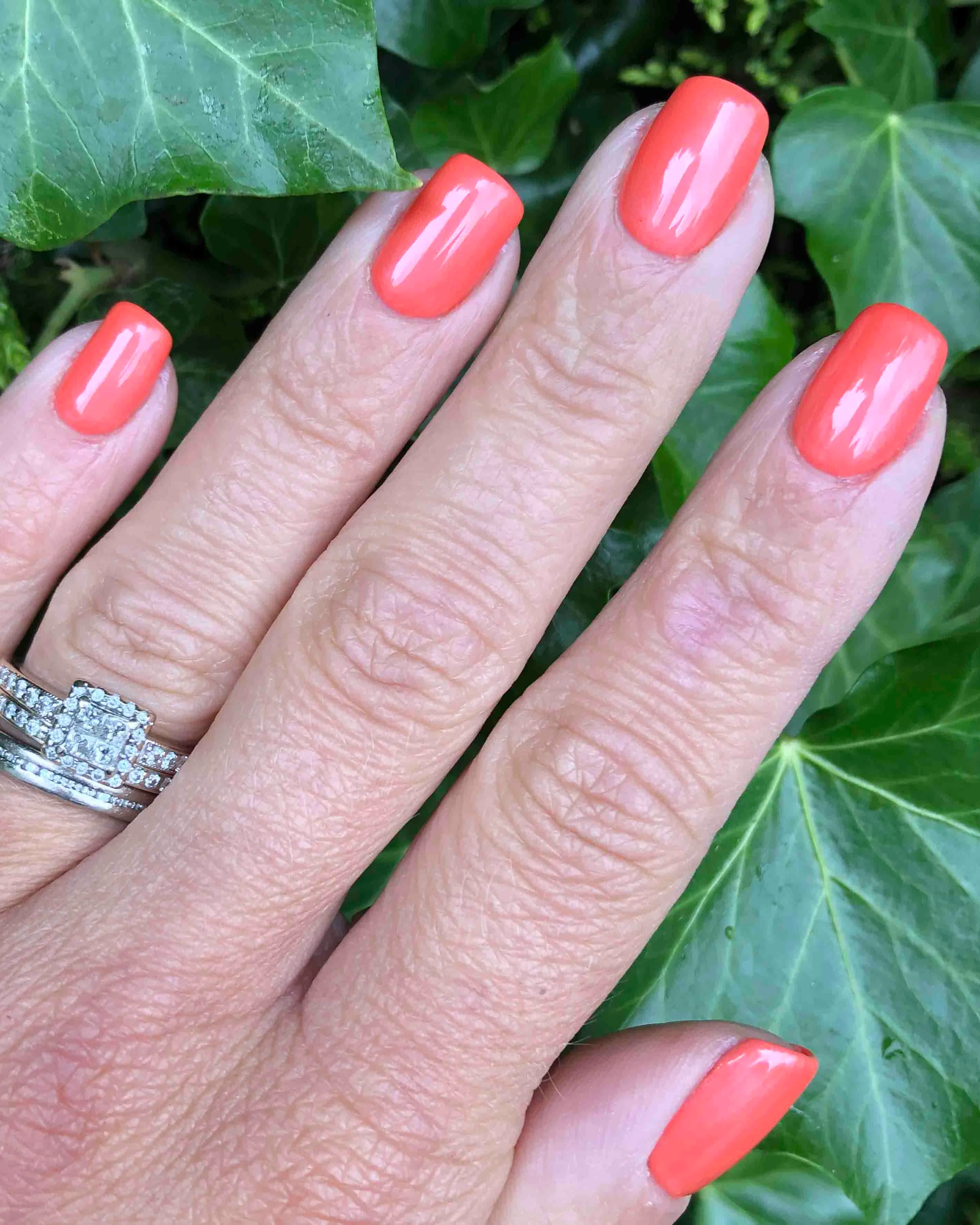 Sugar Sweet Pea - Polish - Image 2