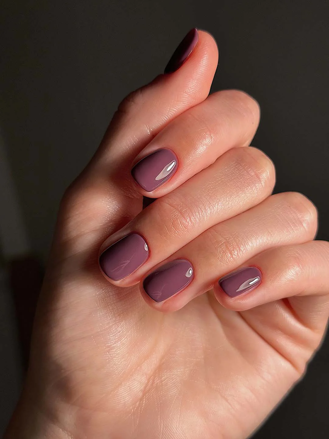 Chipped Bark - Polish - Image 3