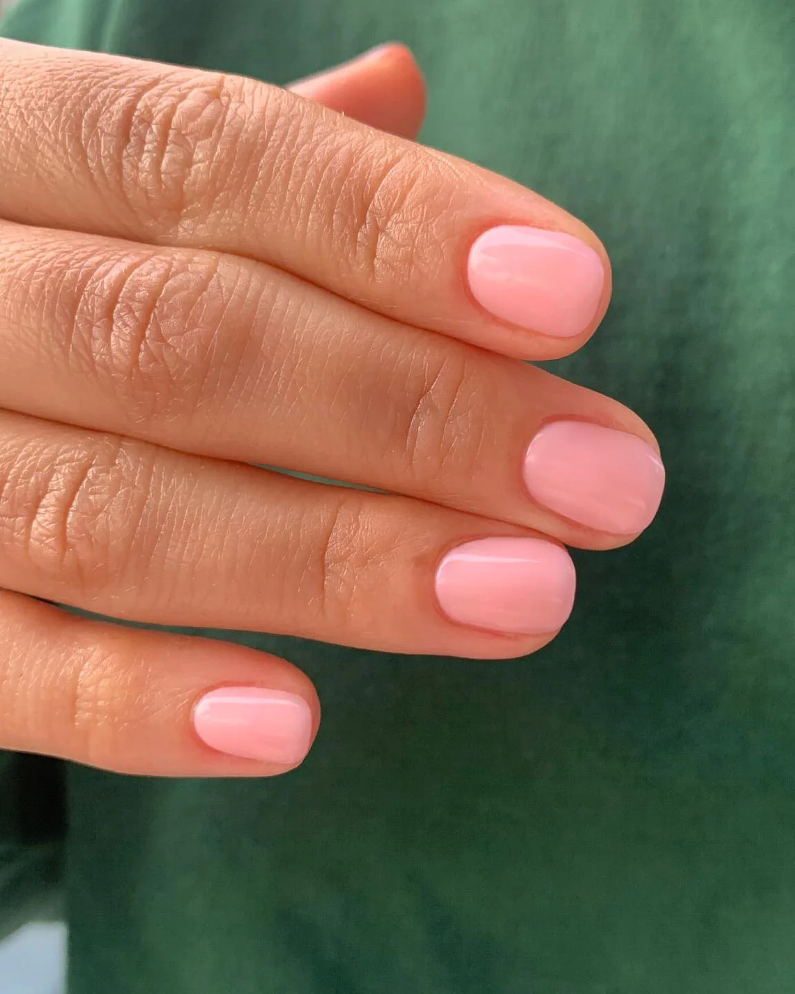 Pink Iceberg - Polish - Image 2