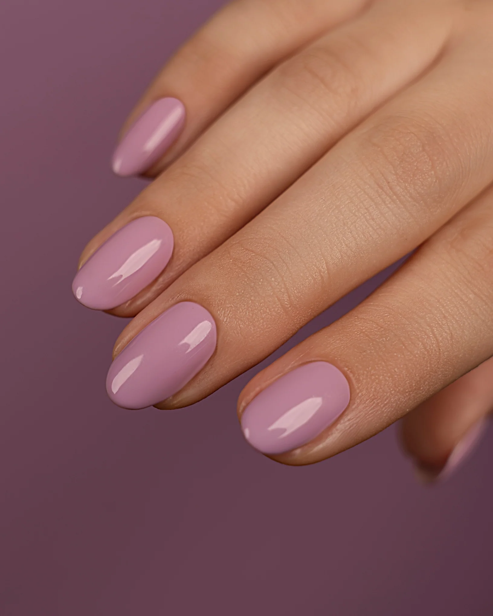 Lilac Byway - 330 - Polish - Image 2