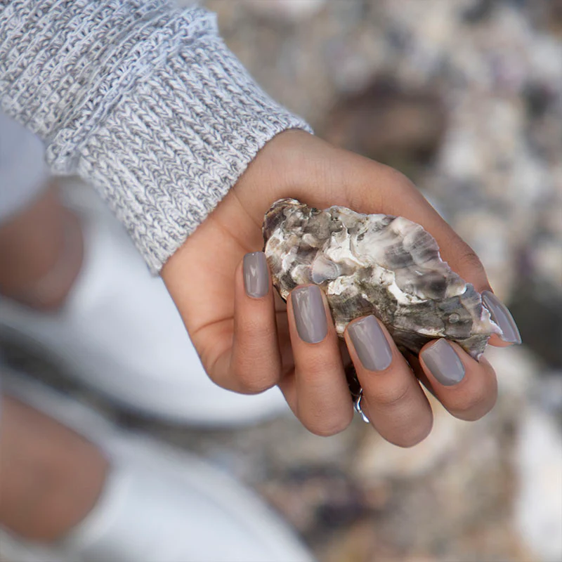 Oyster Shell - Polish - Image 2